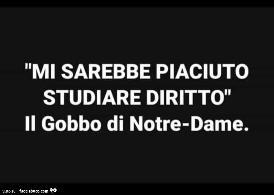 Mi sarebbe piaciuto studiare diritto. Il gobbo di notre-dame