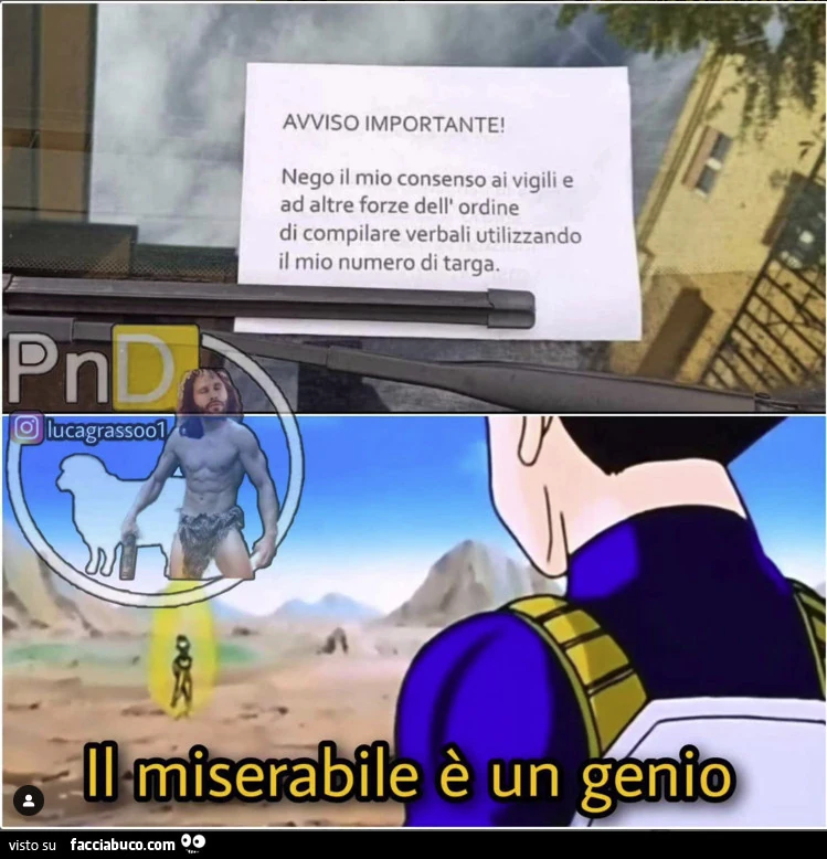 Vaccata