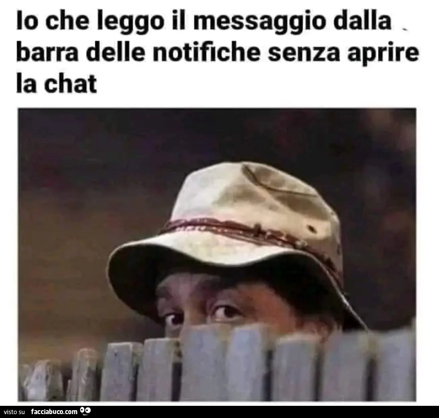 Io che leggo il messaggio dalla barra delle notifiche senza aprire la chat