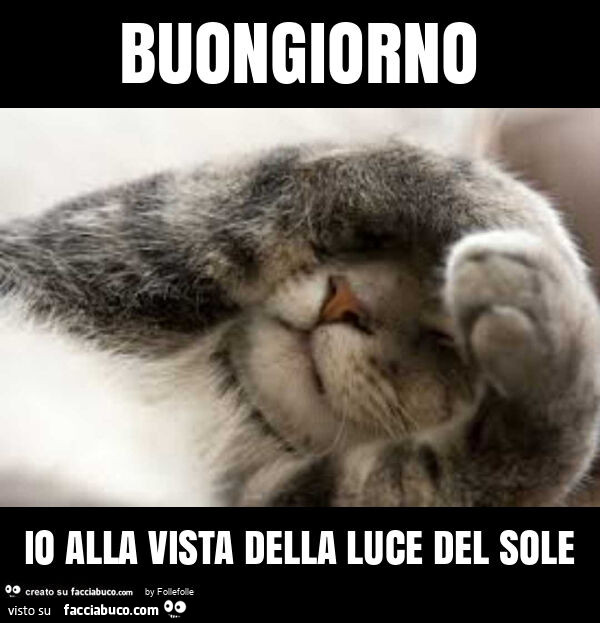 Buongiorno io alla vista della luce del sole