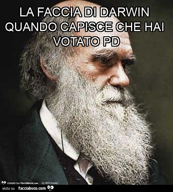 La faccia di darwin quando capisce che hai votato pd