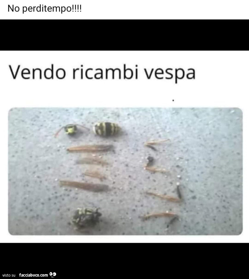 Vaccata