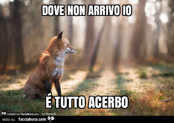 Dove non arrivo io é tutto acerbo