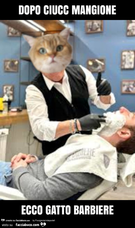 Dopo ciucc mangione ecco gatto barbiere