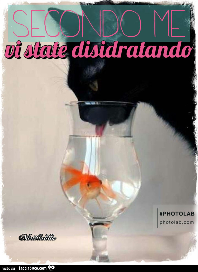 Disidratato