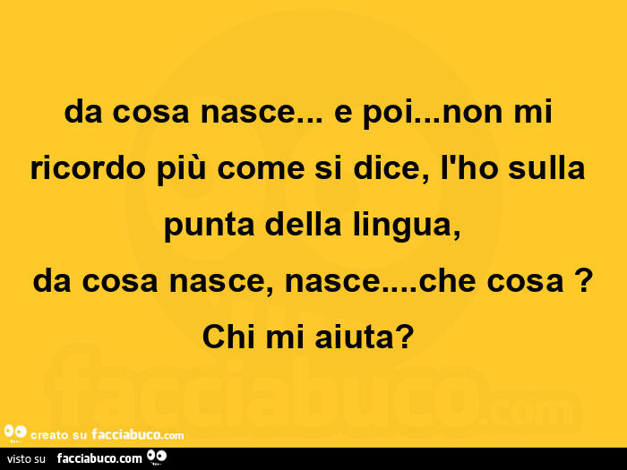 Da cosa nasce… e poi… non mi ricordo più come si dice, l'ho sulla punta della lingua,  da cosa nasce, nasce… che cosa? Chi mi aiuta?  