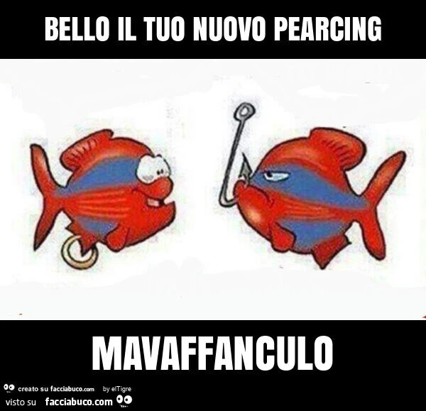 Bello il tuo nuovo pearcing mavaffanculo