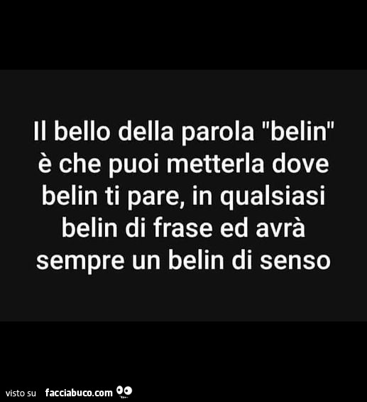 Il bello della parola belin è che puoi metterla dove belin ti pare, in qualsiasi belin di frase ed avrà sempre un belin di senso