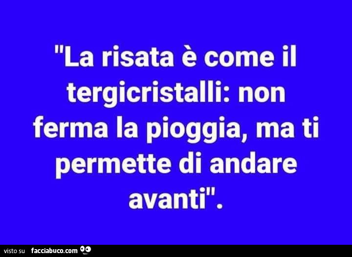 La risata è come il tergicristalli: non ferma la pioggia, ma ti permette di andare avanti