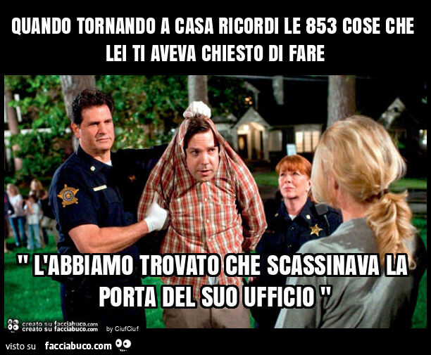 Quando tornando a casa ricordi le 853 cose che lei ti aveva chiesto di fare