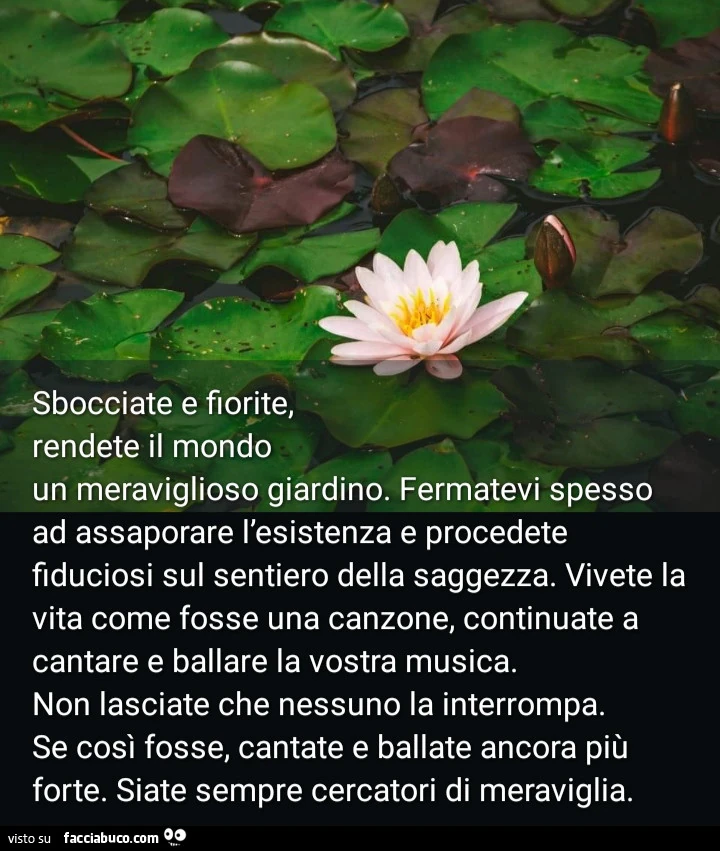 Vaccata