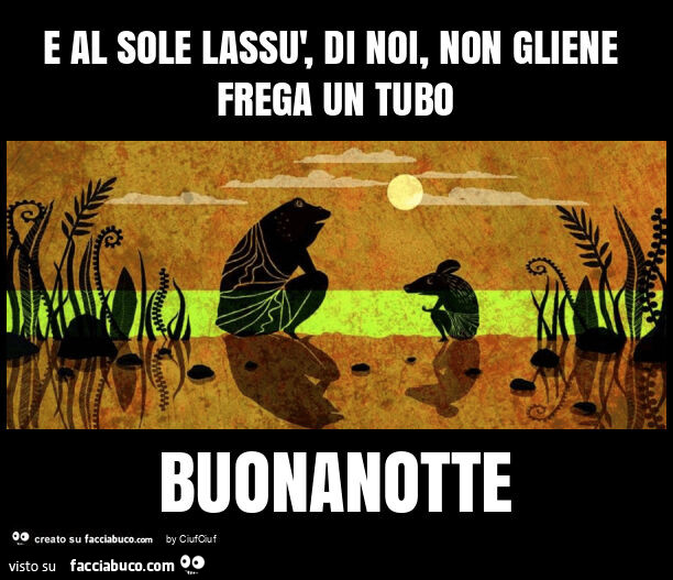 E al sole lassù, di noi, non gliene frega un tubo buonanotte