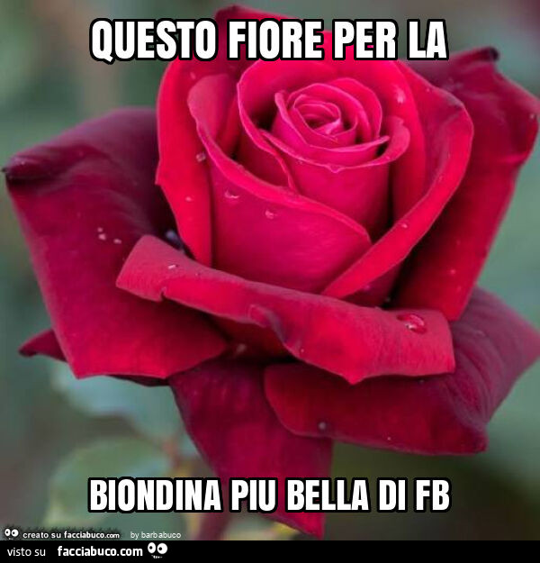 Questo fiore per la biondina piu bella di fb