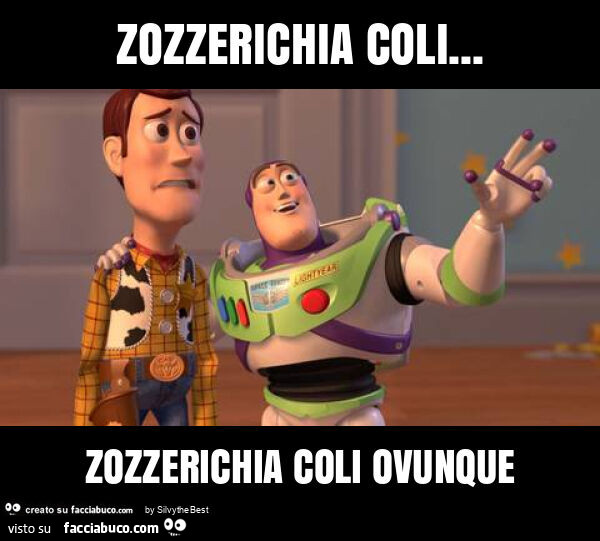 Zozzerichia coli… zozzerichia coli ovunque