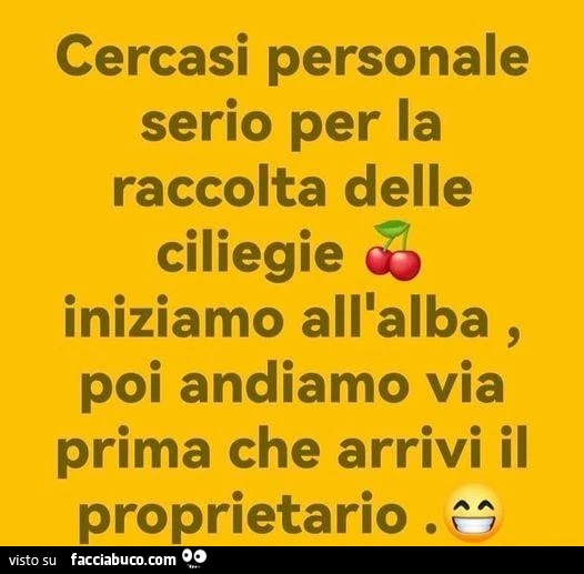 Cercasi personale serio per la raccolta delle ciliegie iniziamo all'alba, poi andiamo via prima che arrivi il proprietario