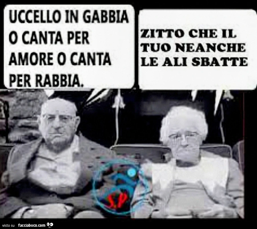 Uccelli