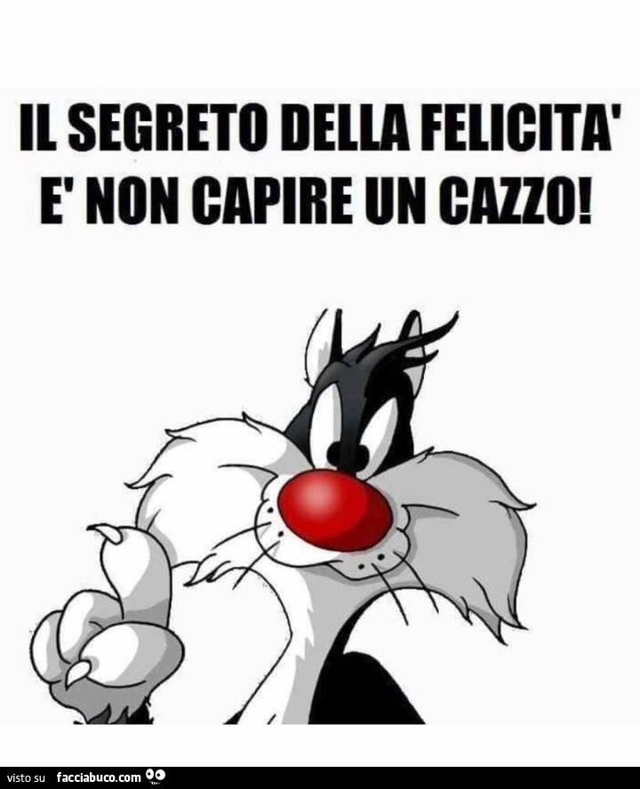 Il segreto della felicità è non capire un cazzo