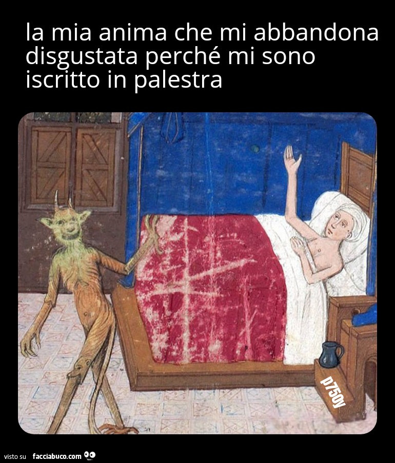 Anima palestra