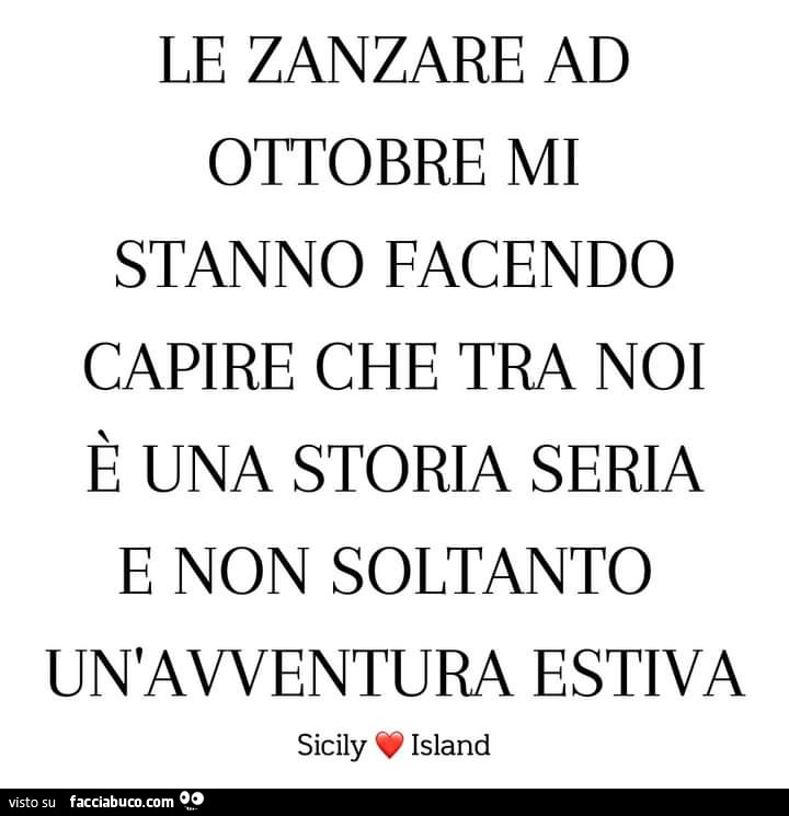 Le zanzare ad ottobre mi stanno facendo capire che tra noi è una storia seria e non soltanto un'avventura estiva