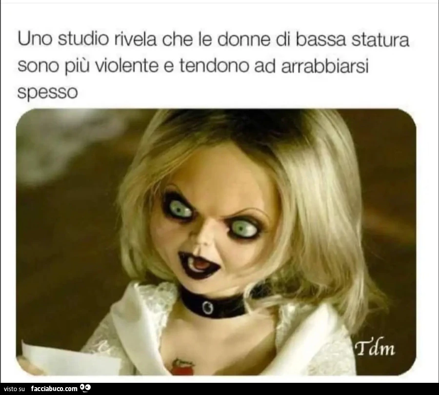Vaccata