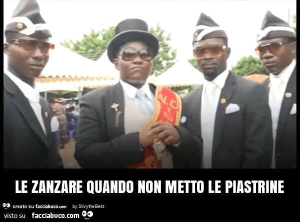 Le zanzare quando non metto le piastrine