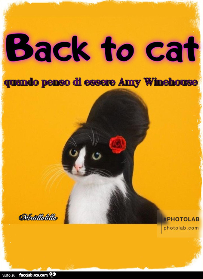 Back to cat. Quando penso di essere Amy Winehouse