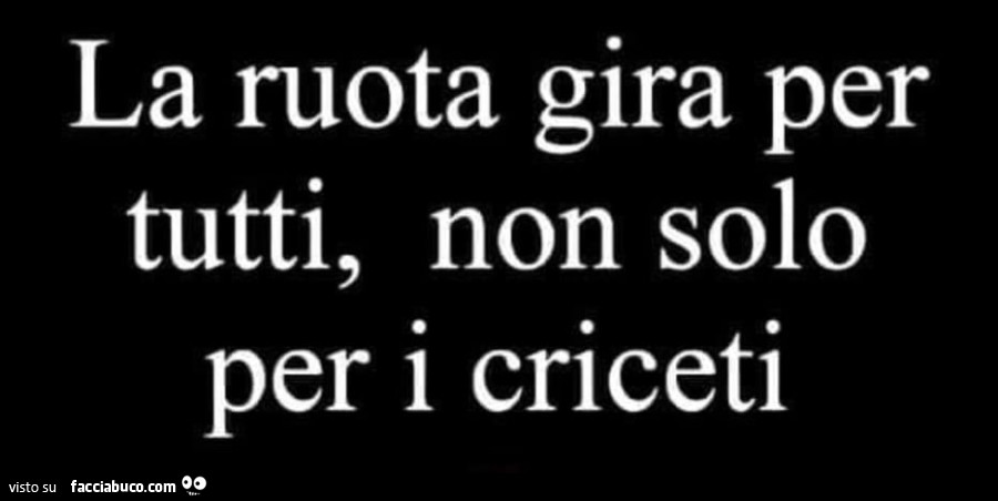 La ruota gira per tutti, non solo per i criceti