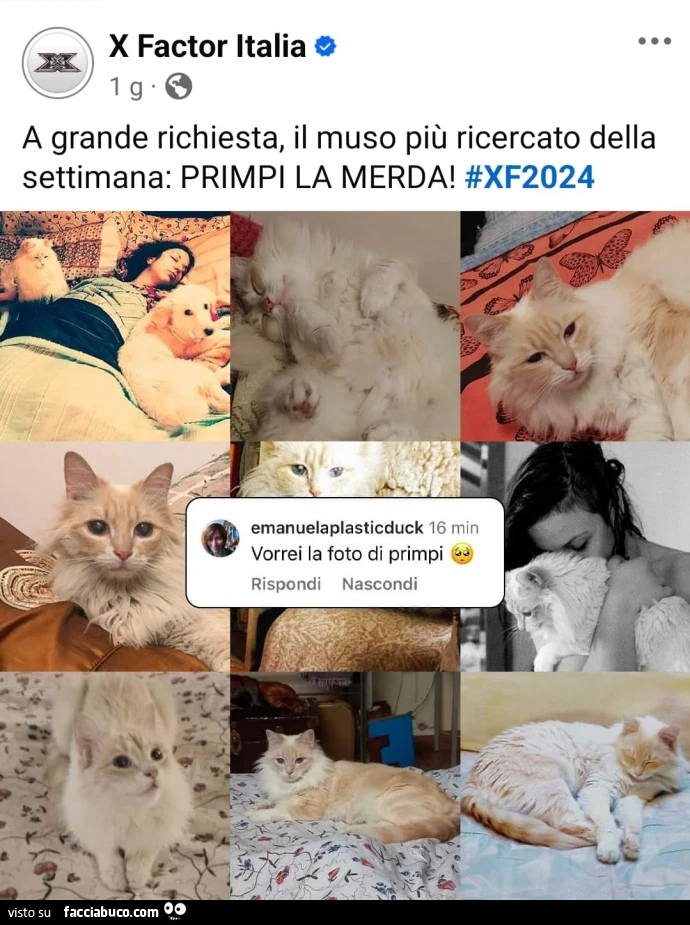 Vaccata