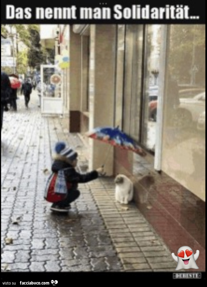 Semplicità d'animo, solidarietà in erba! Spettacolo