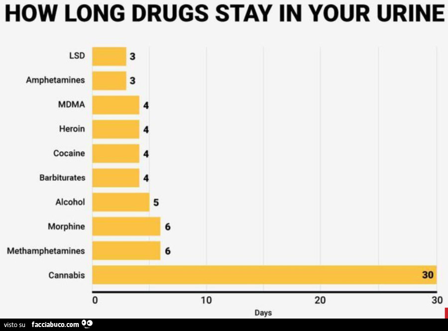 Quanto dura l'effetto delle droghe nel ns corpo?
