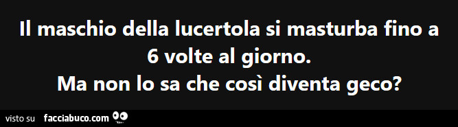 Il maschio della lucertola si masturba fino a 6 volte al giorno. Ma non lo sa che così diventa geco?