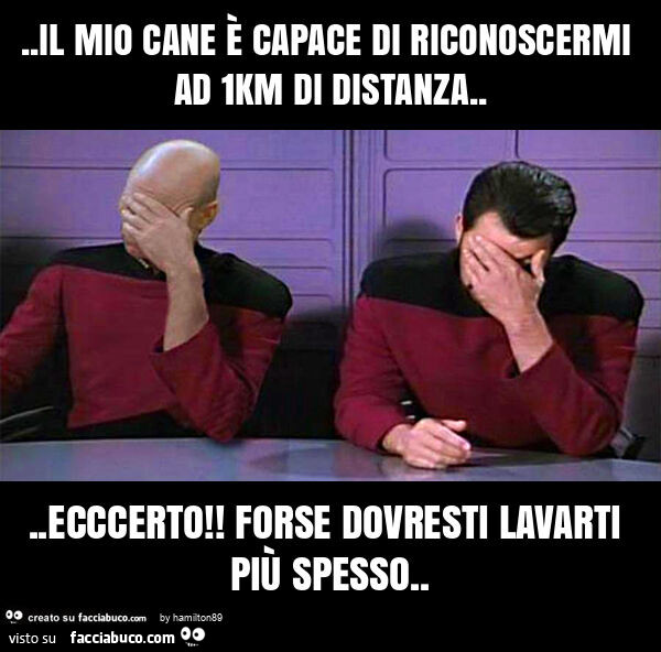 Il mio cane è capace di riconoscermi ad 1km di distanza… ecccerto! Forse dovresti lavarti più spesso