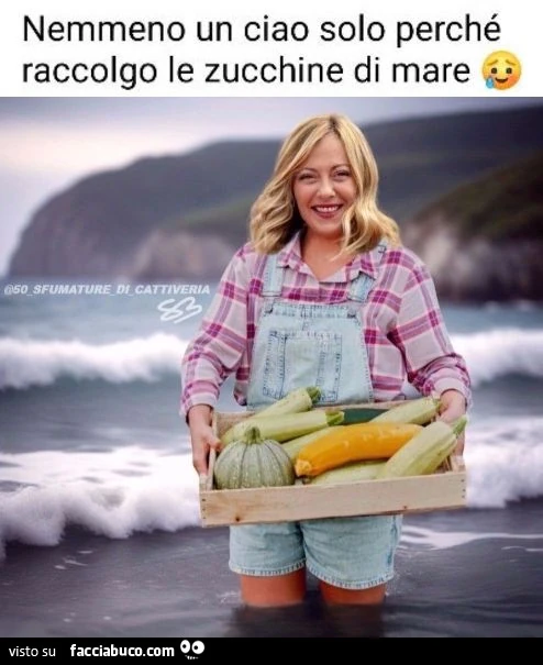 Nemmeno un ciao solo perchรฉ raccolgo le zucchine di mare