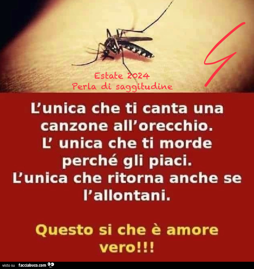 La zanzara è l'unico insetto che Ti ama sino a ciucciarti tutto il sangue che hai
