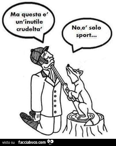 Ma questa è un'inutile crudeltà. No. È Solo sport