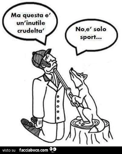 Ma questa è un'inutile crudeltà. No. È Solo sport