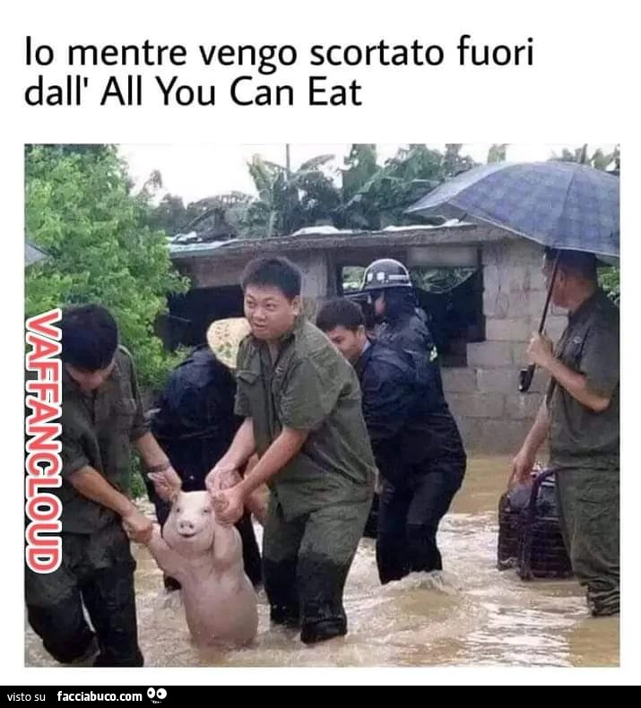 Vaccata