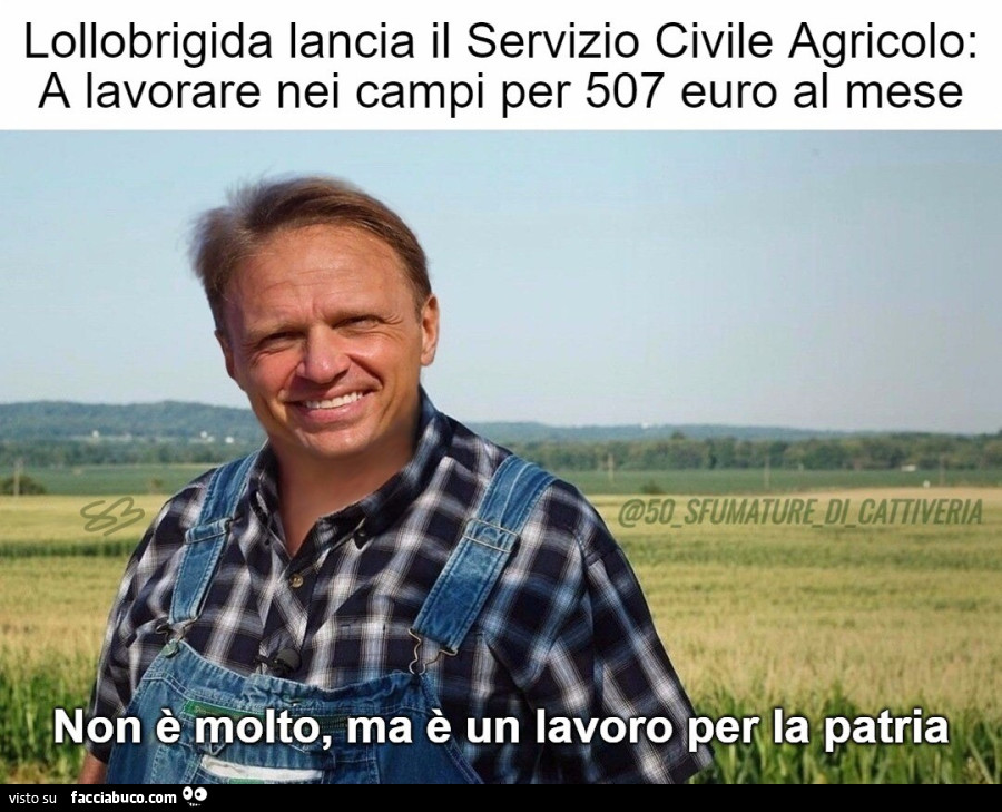 Non è molto, ma è un lavoro per la patria