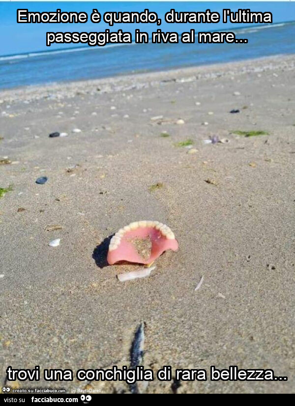 Emozione è quando, durante l'ultima passeggiata in riva al mare… trovi una conchiglia di rara bellezza