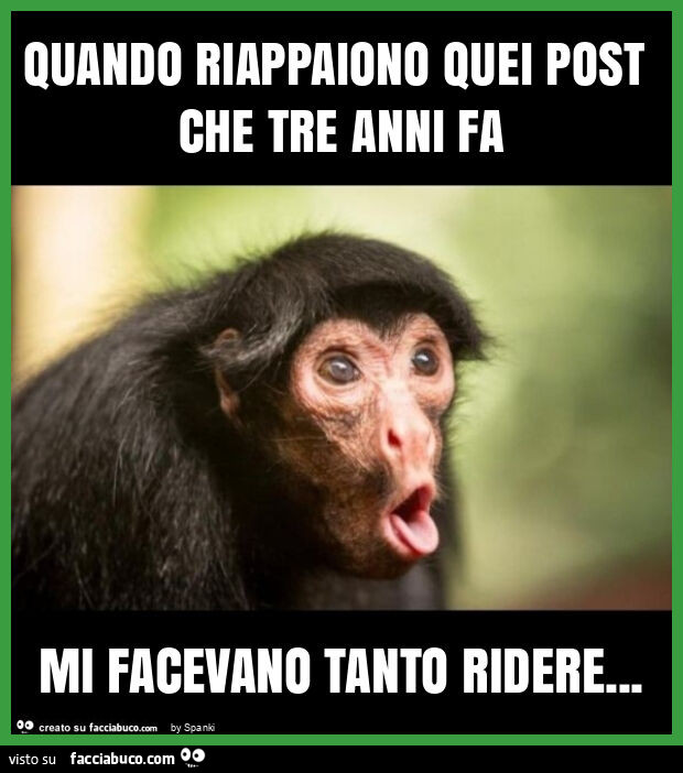 Quando riappaiono quei post che tre anni fa mi facevano tanto ridere