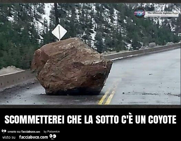 Scommetterei che la sotto c'è un coyote