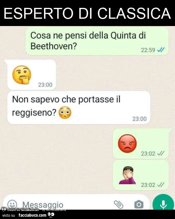 Esperto di classica. Cosa ne pensi della quinta di beethoven? Non sapevo che portasse il reggiseno?
