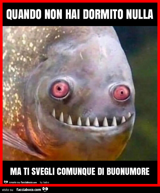 Quando non hai dormito nulla ma ti svegli comunque di buonumore