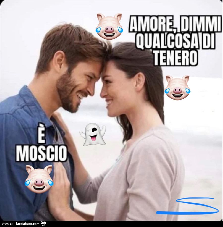 Dimmi qualcosa di bello e tenero… . È Moscio! 🤭 Attendo cure ed attenzioni, dunque