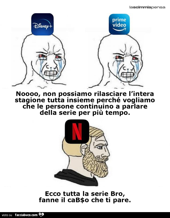 Noooo, non possiamo rilasciare l'intera stagione tutta insieme perché vogliamo che le persone continuino a parlare della serie per più tempo. Ecco tutta la serie bro, fanne il cabso che ti pare