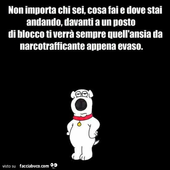 Non importa chi sei, cosa fai e dove stai andando, davanti a un posto di blocco ti verrà sempre quell'ansia da narcotrafficante appena evaso