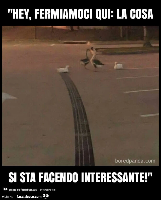 "hey, fermiamoci qui: la cosa si sta facendo interessante! "