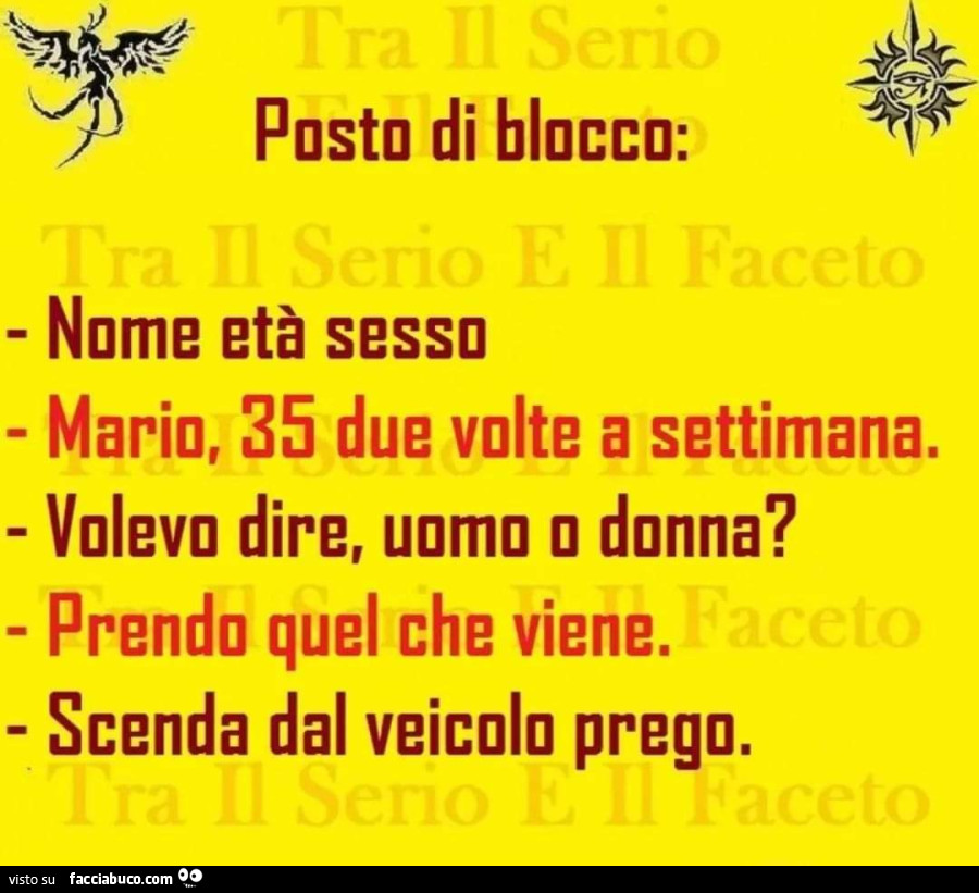 Posto di blocco: nome età sesso. Mario, 35 due volte a settimana. Volevo dire, uomo o donna? Prendo quel che viene. Scenda dal veicolo prego