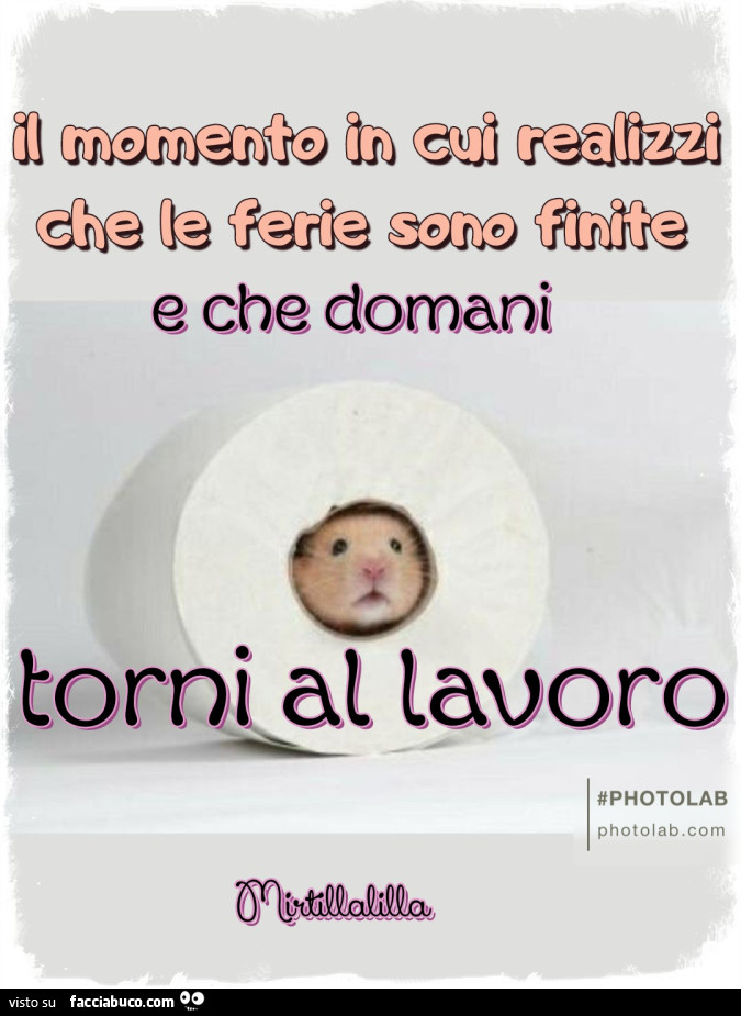 Tornare al lavoro