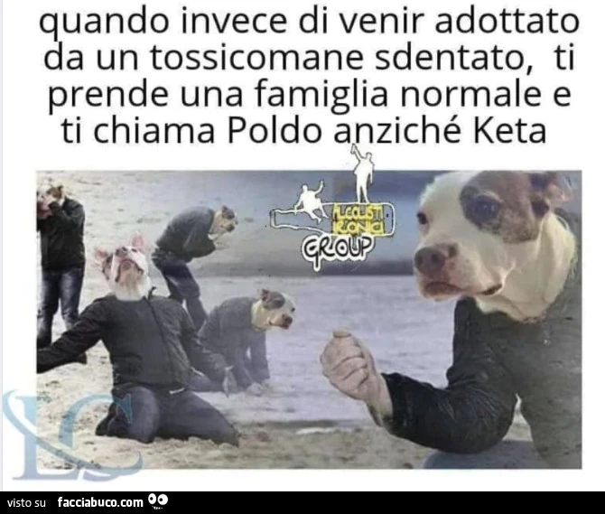 Vaccata